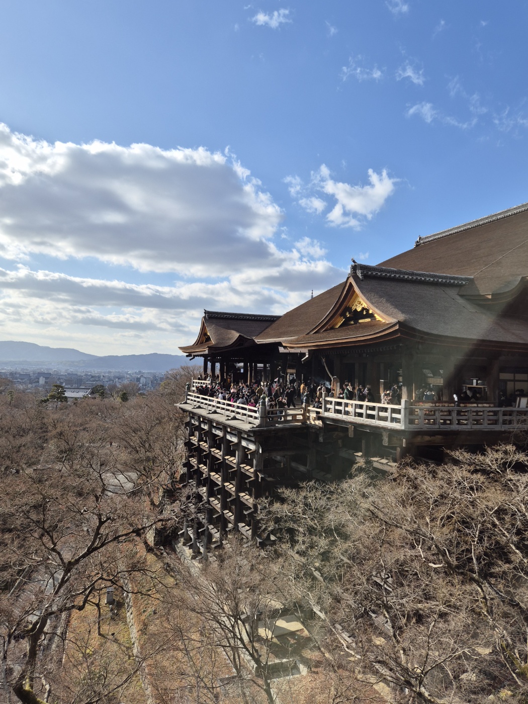 일본 겨울캠프